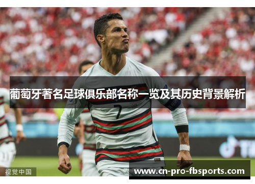 葡萄牙著名足球俱乐部名称一览及其历史背景解析