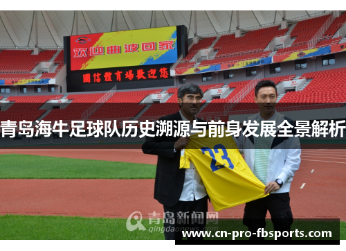 青岛海牛足球队历史溯源与前身发展全景解析 青岛海牛足球队历史溯源与前身发展全景解析