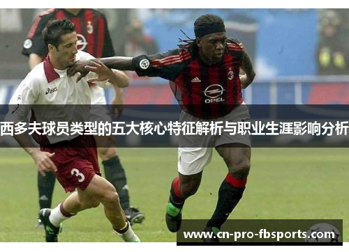 西多夫球员类型的五大核心特征解析与职业生涯影响分析