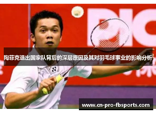 陶菲克退出国家队背后的深层原因及其对羽毛球事业的影响分析